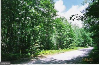 21051 Big Woods Road - Photo 1