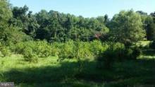 19840 Piney Point Road - Photo 1