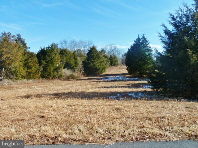 LOT 41 Comforter Lane - Photo 1