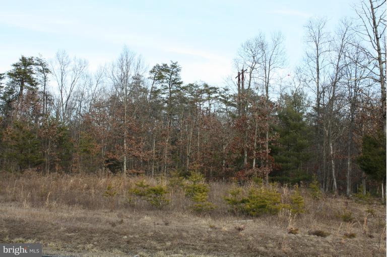 Springwood Lane Lot 26 - Photo 1
