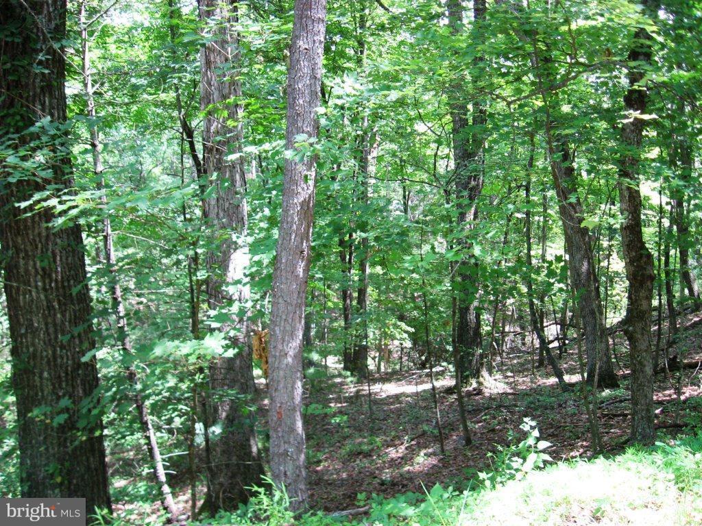 Hillandale Road - Photo 1