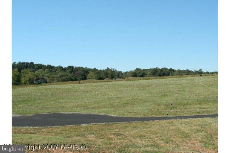 Fieldcrest Court - Photo 1