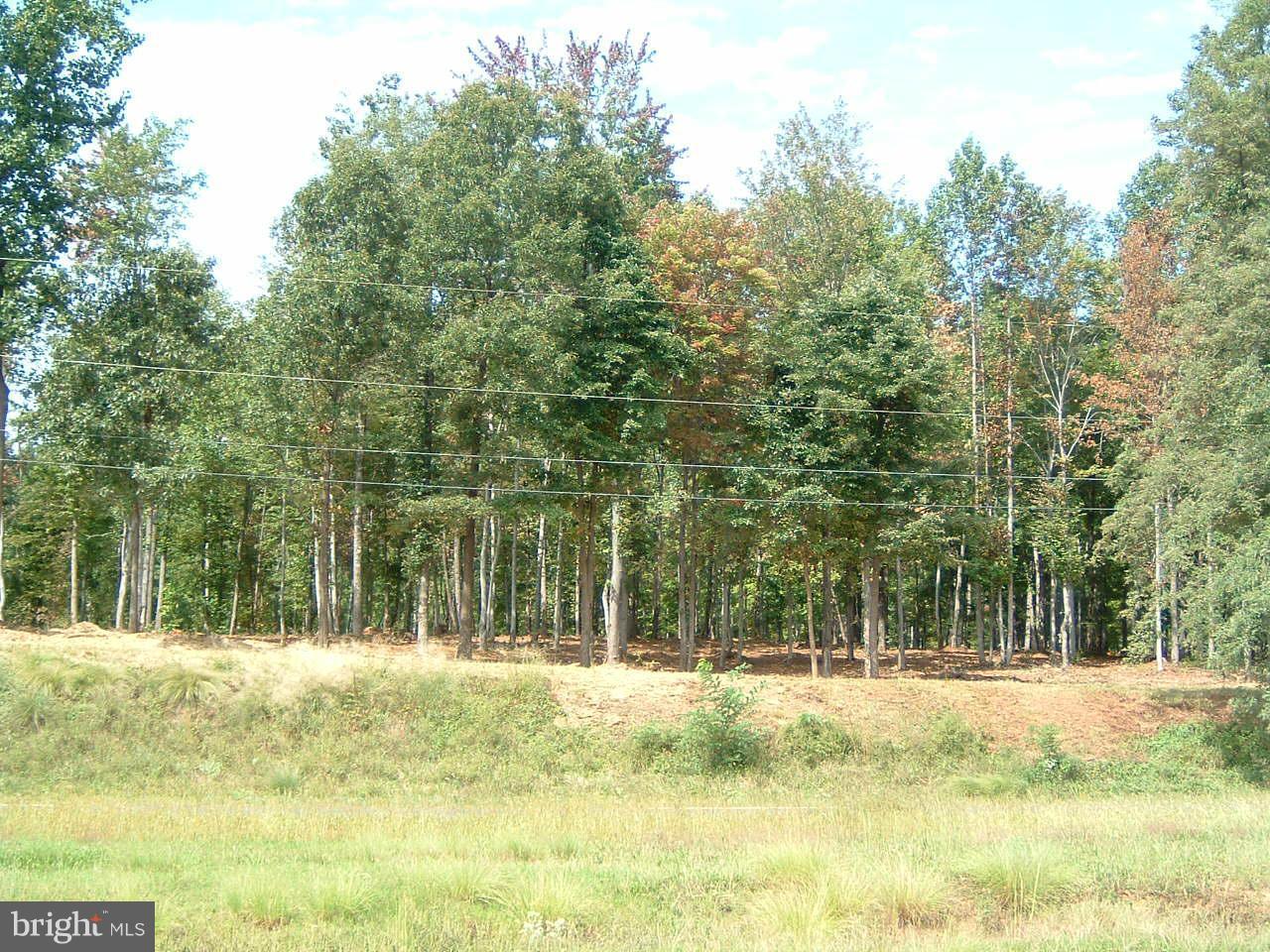 Seminole Trail - Photo 1
