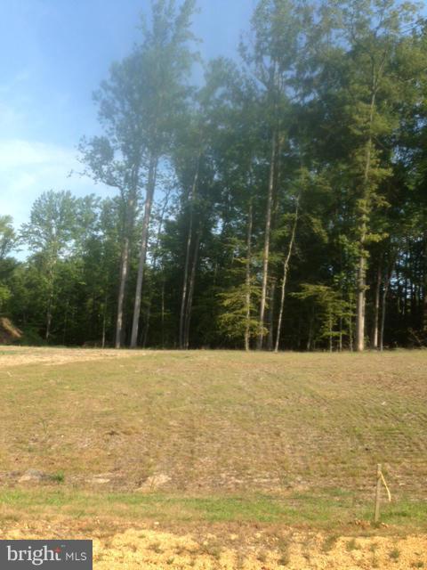 14595 Gallant Lane - Photo 1