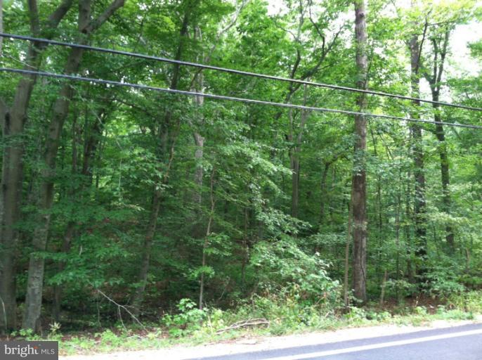 9015 Mitchell Road - Photo 1