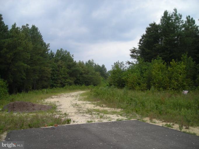 13455 Plantation Pines Place - Photo 1