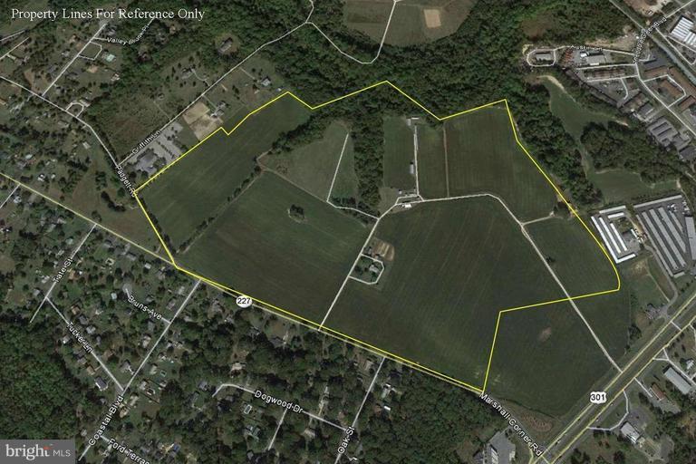 4600 Fox Tail Place Road - Photo 1