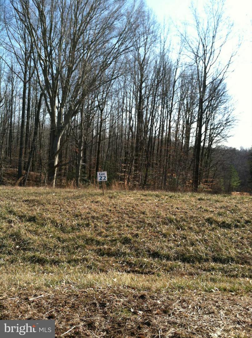 14428 Frontier Trails Court - Photo 1