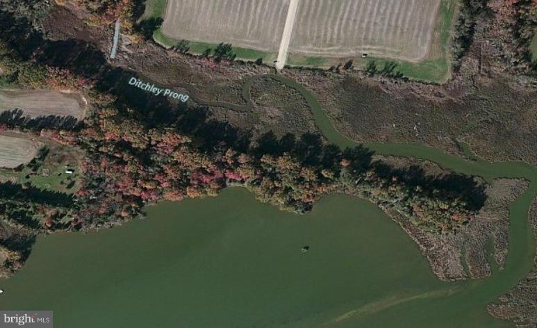 Thompson Farm Road - Photo 1