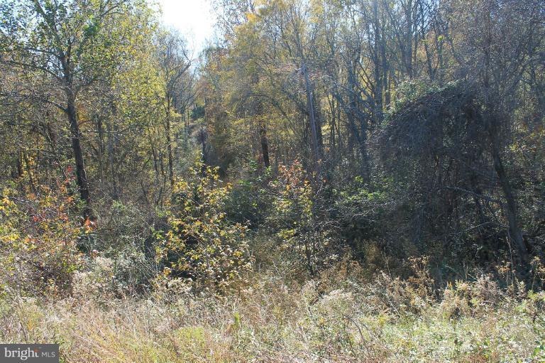 13090 Budds Creek Road - Photo 1