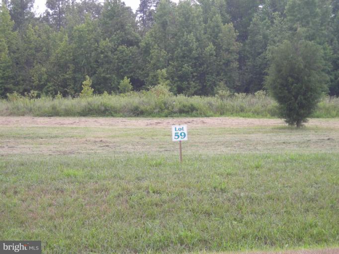 4541 Coachmans Path Court - Photo 1