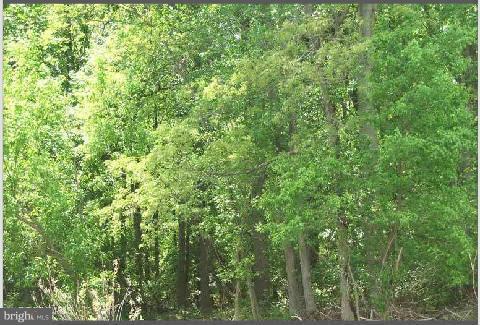 Holly Springs Road - Photo 1