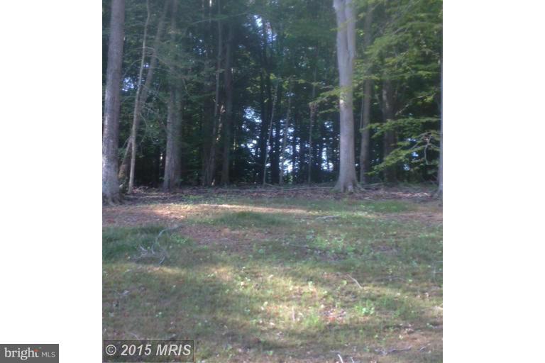 4828 Loggerhead Court - Photo 1
