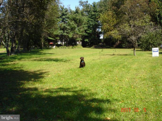Lednum Avenue - Photo 1