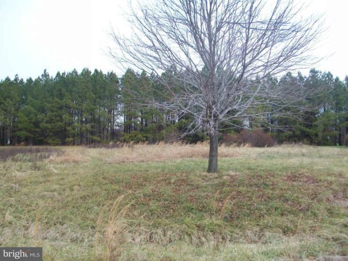 Homestead View Road - Photo 1 Homestead View Road - Photo 1