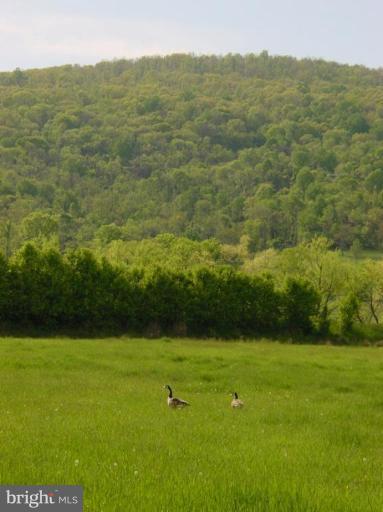 Ridgeside Road - Photo 1