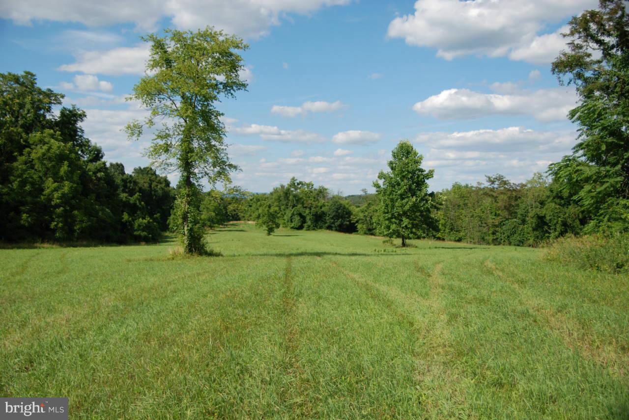 Rooney Road - Photo 1