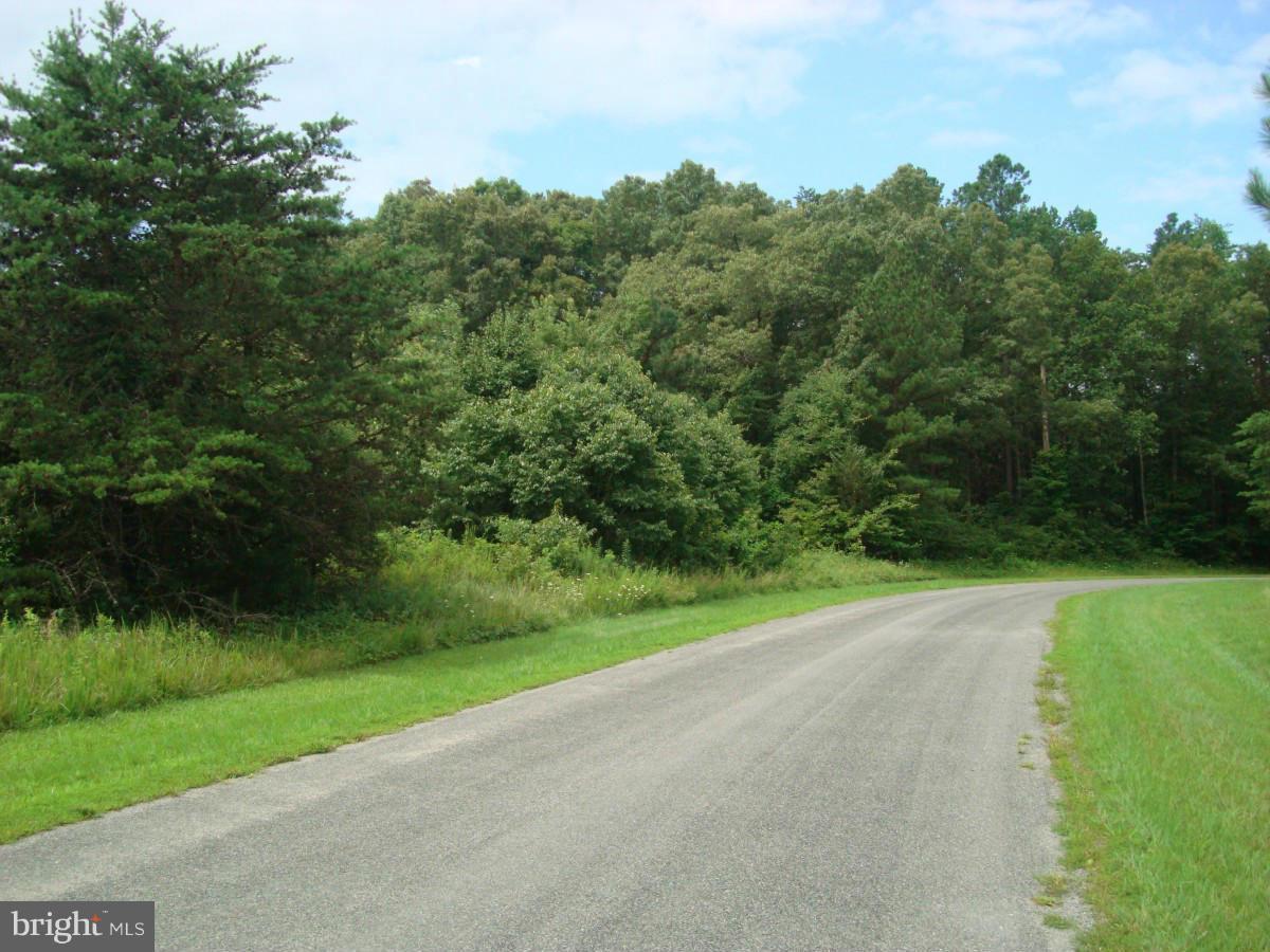 Belmont Lane - Photo 1