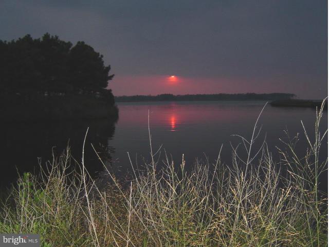 900-S Taylors Island Road - Photo 1