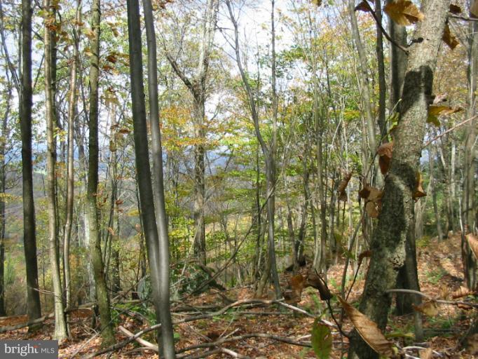 Lot 7 Backbone Ridge - Photo 1