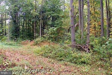 1952 Trappe Church Road - Photo 1