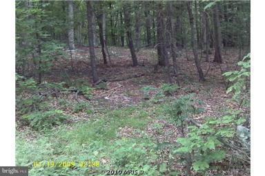 Supinlick Ridge Rd - Photo 1