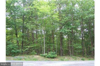 Willow Lane - Photo 1