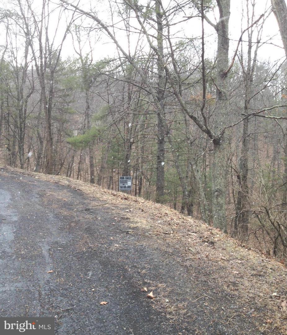 0 Deloris Road - Photo 1