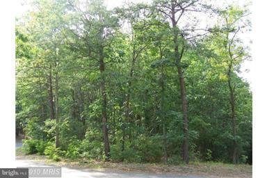 Locust Lane - Photo 1