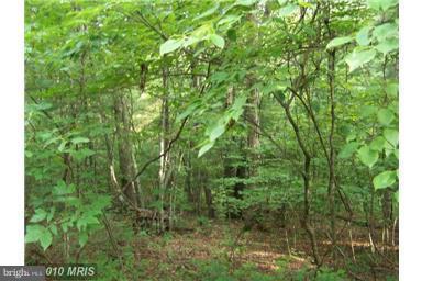 Crab Apple Lane - Photo 1