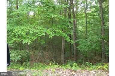 Anderson Road - Photo 1