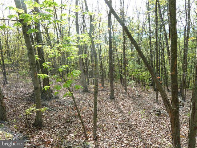 0 Supinlick Ridge Road - Photo 1