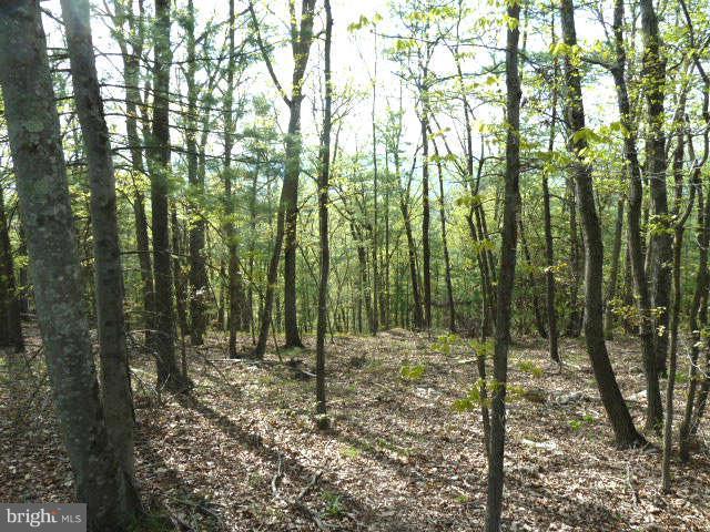Supinlick Ridge Road - Photo 1