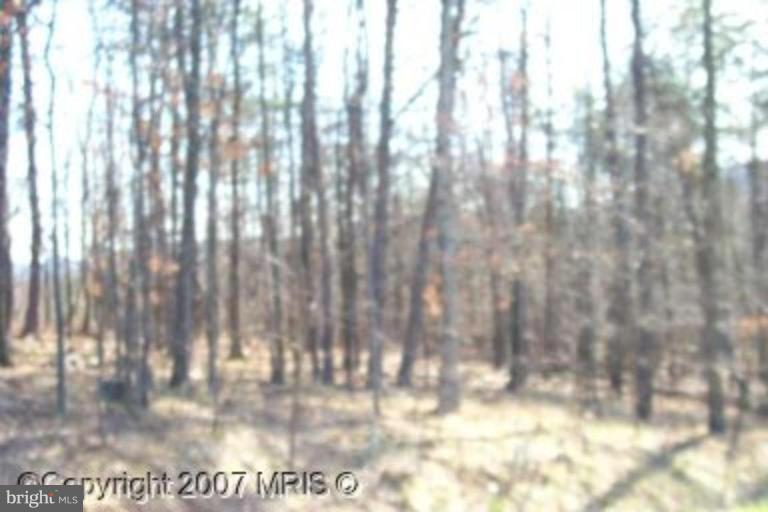 10415 Pin Oak Court - Photo 1
