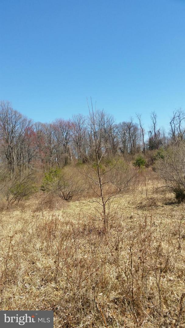 9373 Elihu - Photo 1