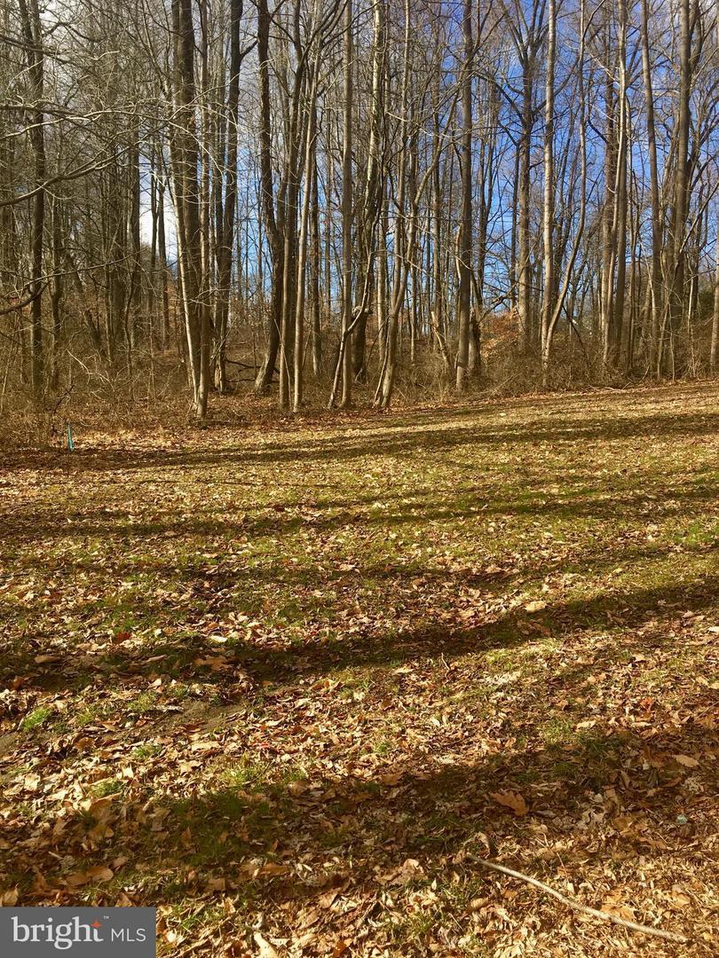 0-LOT 3 Johns Hopkins Road - Photo 1