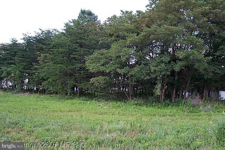 100 Williamson Place - Photo 1