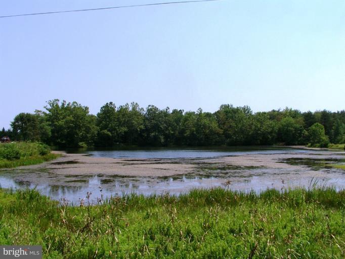 Lot 126 Bow Wood Trail - Photo 1