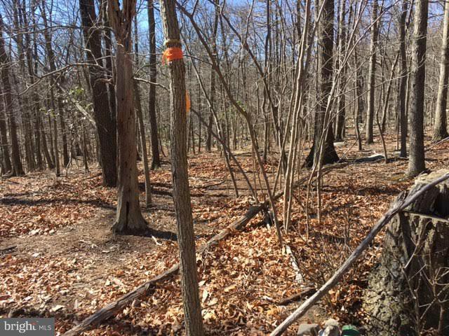 0 Elk Trail - Photo 1
