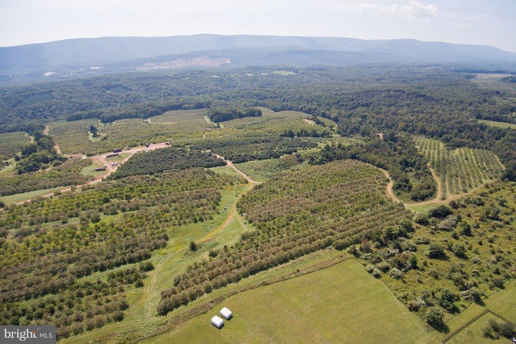 806 Hollow And Parrishville Road - Photo 1