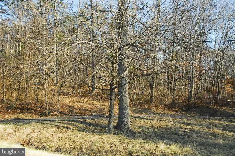 17310 Lee Highway - Photo 1