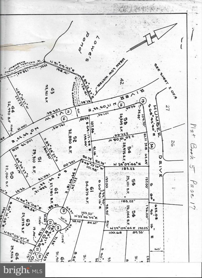 Mob Neck Road Lot 53 - Photo 1
