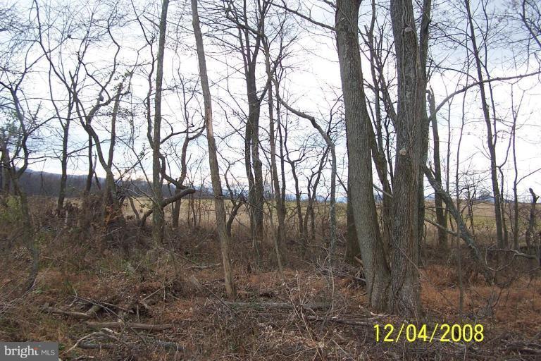 Lot 1H Crossroads Road - Photo 1