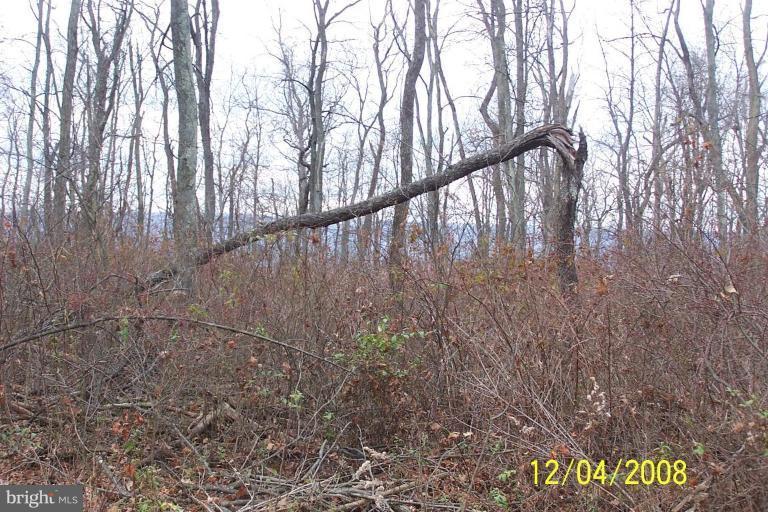 Lot 1B Cito Road - Photo 1