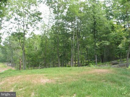 22 Timber Trail - Photo 1