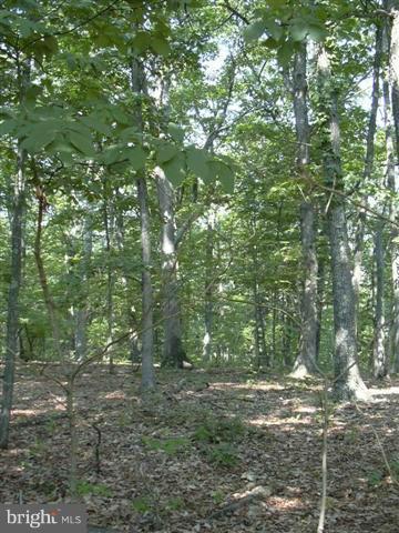 12 Sleepy Knolls - Photo 1