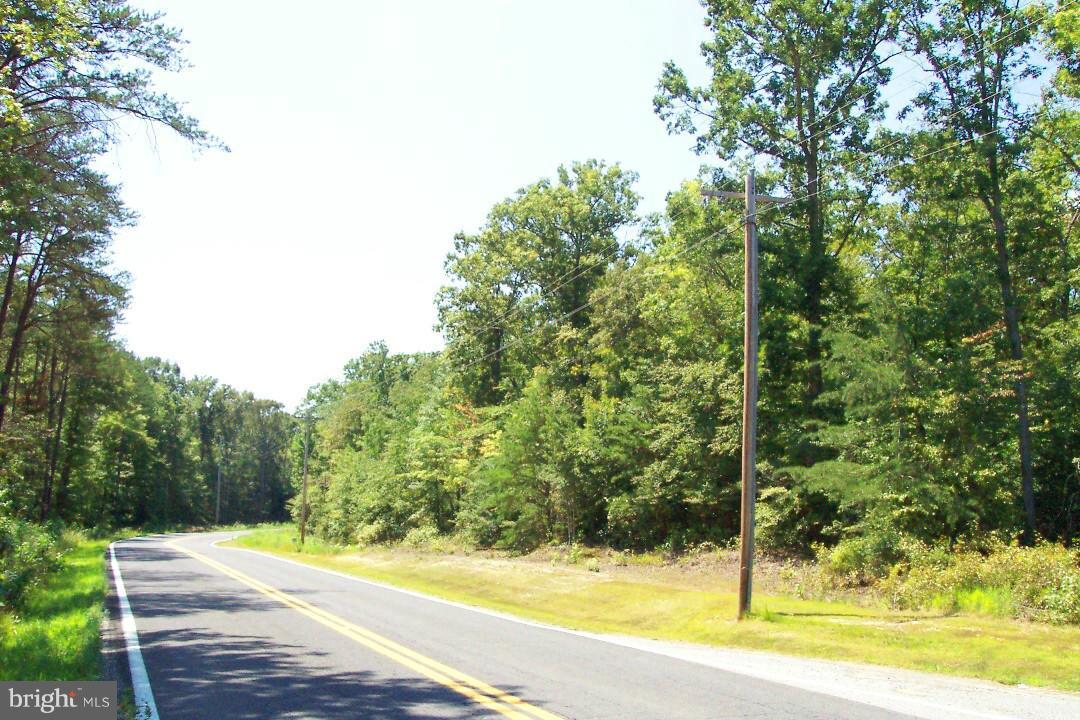 Ripley Road - Photo 1