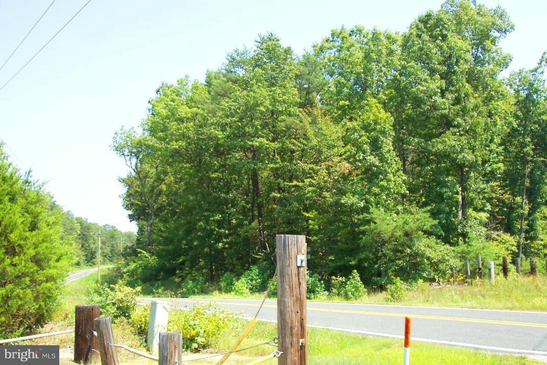 Ripley Road - Photo 1