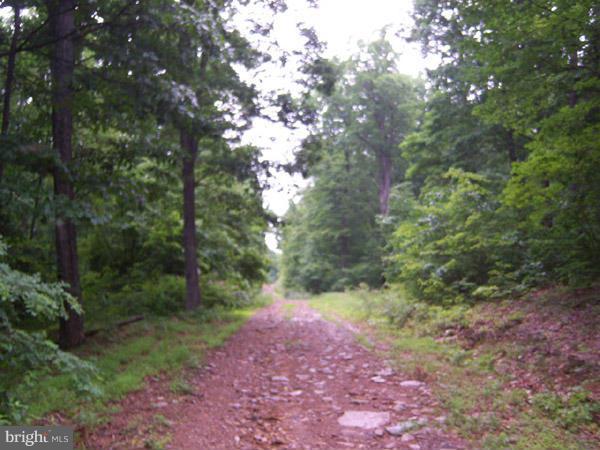24 Kessel Road - Photo 1