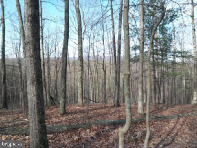 6925 Cacapon Rd - Photo 1